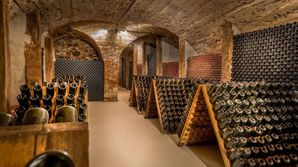 Rượu vang - Giảm nguy cơ viêm khớp ?